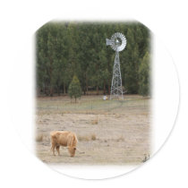 Highland Cow 9Y345D-041 stickers