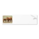 Highland Cow and calf 9Y316D-045 Bumper Sticker