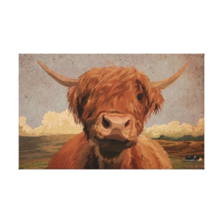 Highland Cow