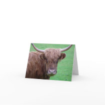Highland Cow Card