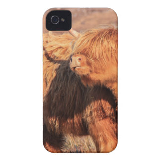 Highland Cow Iphone Cases & Covers 