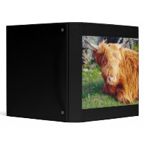 Highland Cow Photo Binders