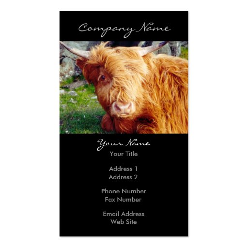 Highland Cow Photo Business Cards (front side)