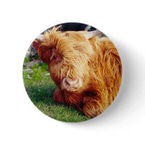 Highland Cow Photo Pin