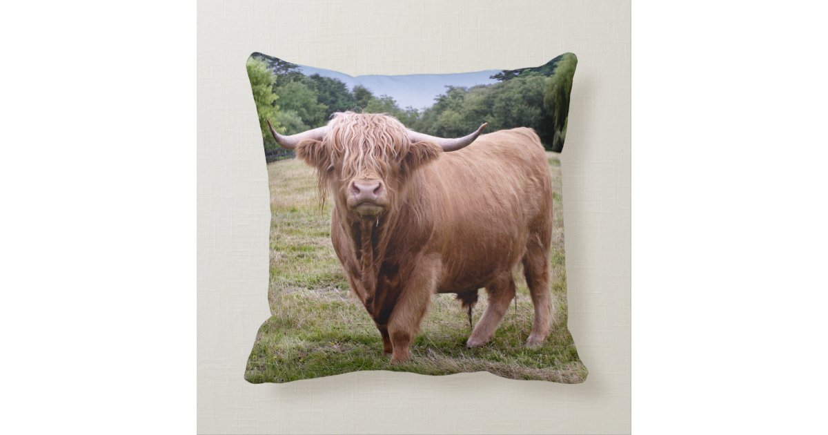 outdoor cow pillow