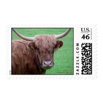 Highland Cow Postage
