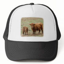 Highland Cow with calf 9Y316D-048 hats by TraffordPhotos Highland Cow with calf 9Y316D-048 hats