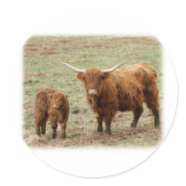 Highland Cow with calf 9Y316D-048 Sticker