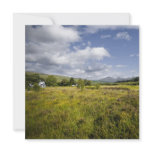 Highland Landscape Card / Invitation