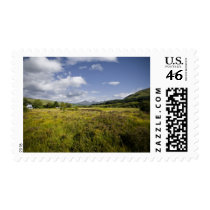 Highland Landscape Stamp by SabineSt Highland Landscape Stamp