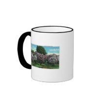 Highland Park Lilacs in Bloom Coffee Mugs