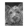 Highland Terrier Postcard