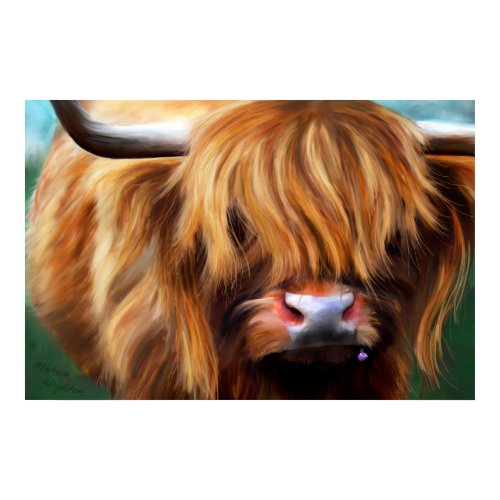 Highlander Cow print