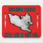 highlander terriers