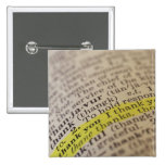 Highlighted dictionary entry buttons