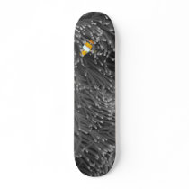 Highlighted-Fish Skateboard Deck