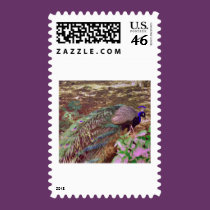 highpasspeacock.gif stamps