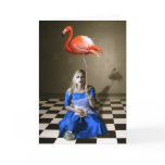 hightea cards