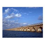 Highway, Florida, USA Postcard