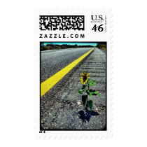 Highway Sunflower postage