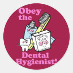 Higienista dental pegatinas redondas