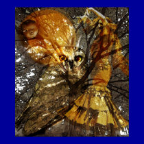 Hijo de la Luna (son of the moon) posters