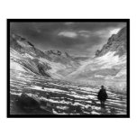 Landscape Posters