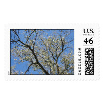 Hiking 10-18-05 005 postage by sdubbs1 Hiking 10-18-05 005 postage
