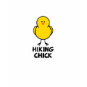 Hiking Chick t-shirts