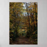 Hiking in the Autumn Colors Posters