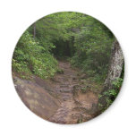 Hiking in the Great Smoky Mountains Refrigerator Magnets