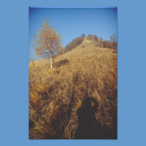 Hiking photography