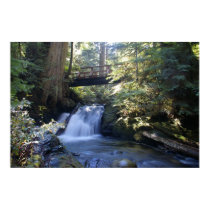 Hiking through the woods posters