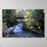 Hiking through the woods poster