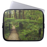 Hiking trail in rainforest with fern trees - laptop computer sleeves
