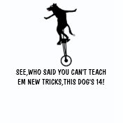 Hilarious Dog