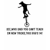 Hilarious Dog value