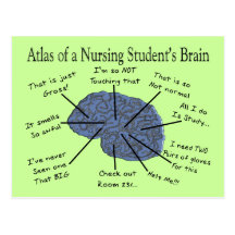 Hilarious Nursing Student "Brain" Gifts Postcard