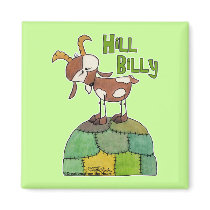Hill Billy magnets