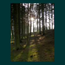 Hill End posters