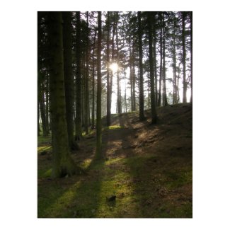 Hill End print