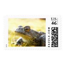 Hill End Toad Postage Stamps