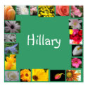 Hillary posters by lollypopgirrrl Hillary posters