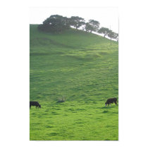 Hills on 227 posters by astro144 Hills on 227 posters