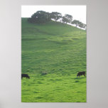 Hills on 227 posters