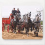 hillsboro ohio draft horse show mousepad