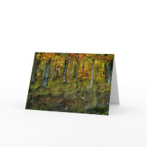 Hillside Birch - Customized Greeting Cards