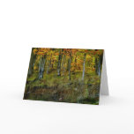 Hillside Birch - Customized cards