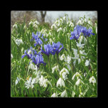 Hillside of Early Spring Flowers Magnet