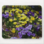 Hillside of Purple and Yellow Pansies Mousepad